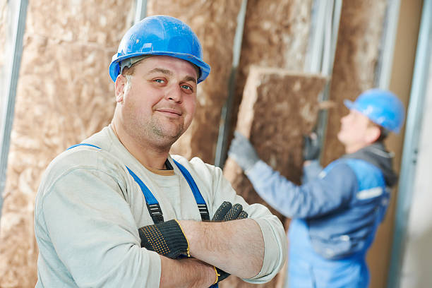Best Specialized Insulation Services in Seven Mile, AZ